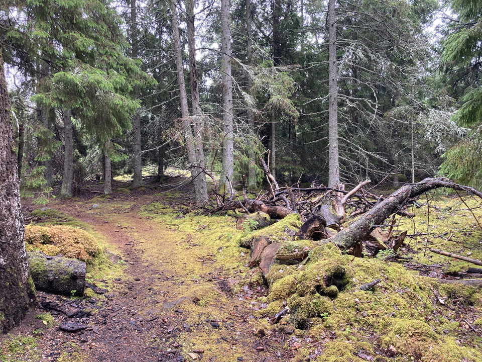 Biskopsön