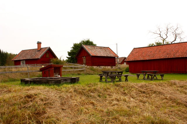 Risöns Lägergård, Florarna