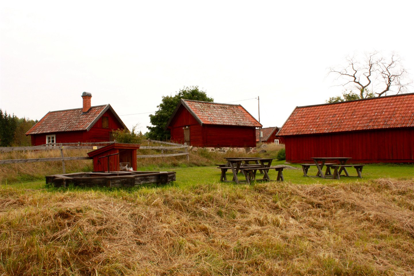 På en gräsplan står två bänkbord, grillplats och ett litet vedförråd. Bortanför grillplatsen står flera stugor.