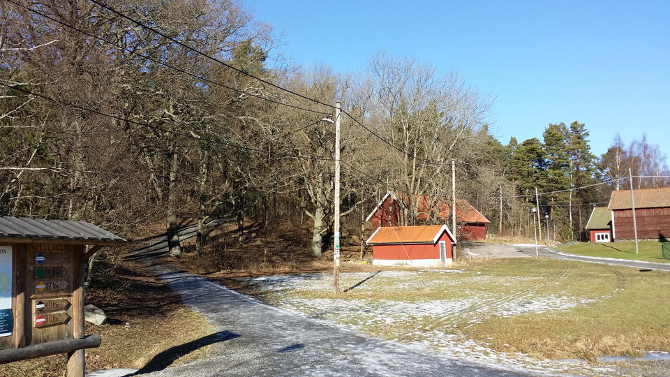 Lidingöloppsspåret vid Grönsta. Foto Lidingö stad