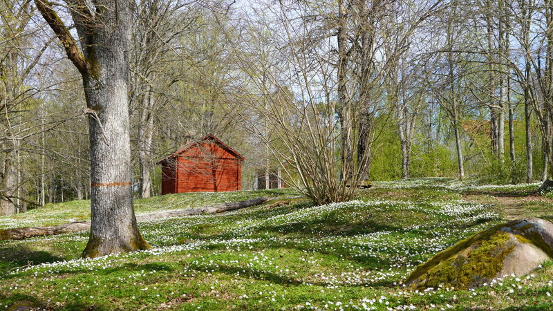 Lökene Grave field