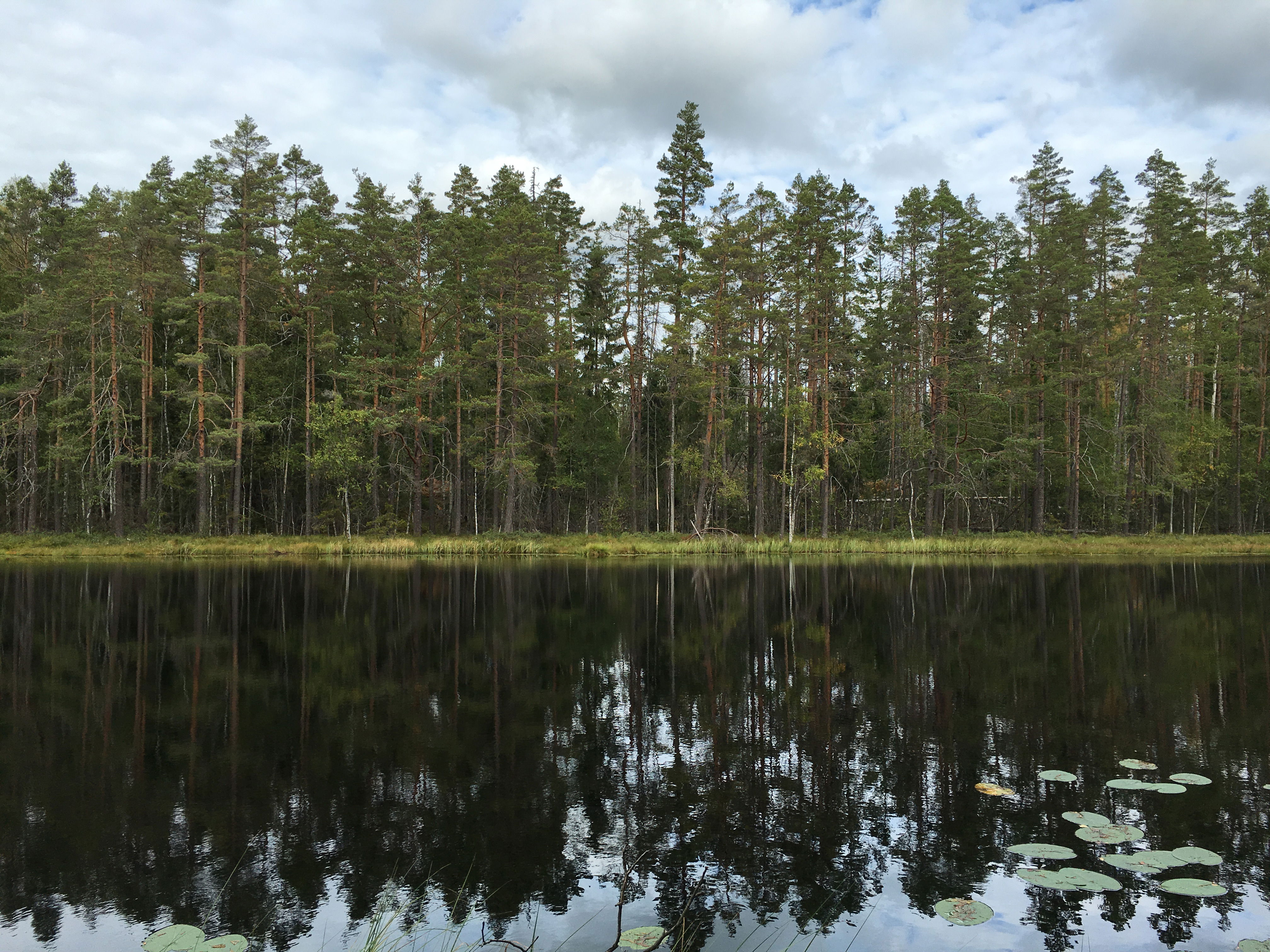 Fotograf: Ellen Flygare