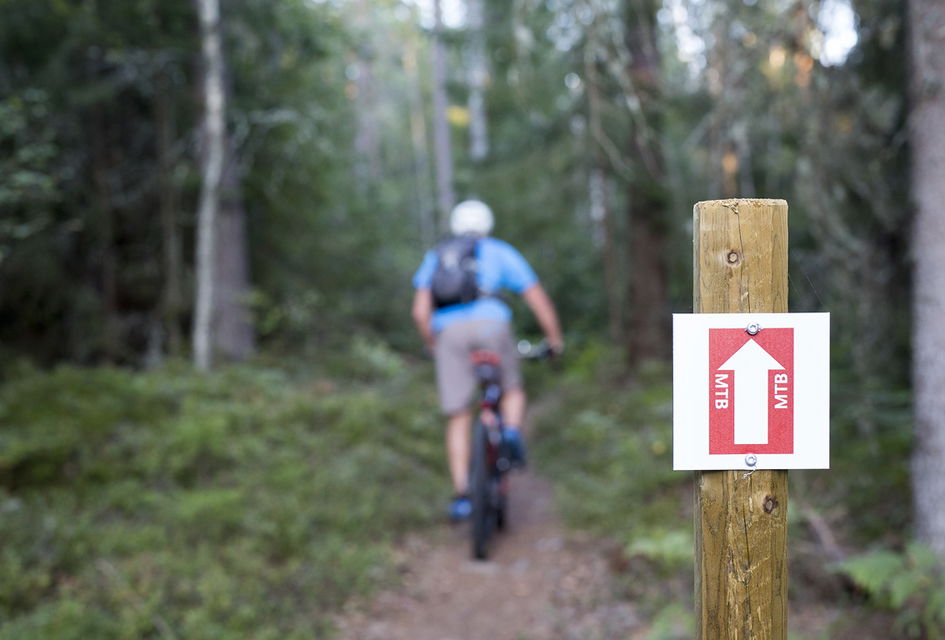 MTB-cykling i skogen, ledmarkering