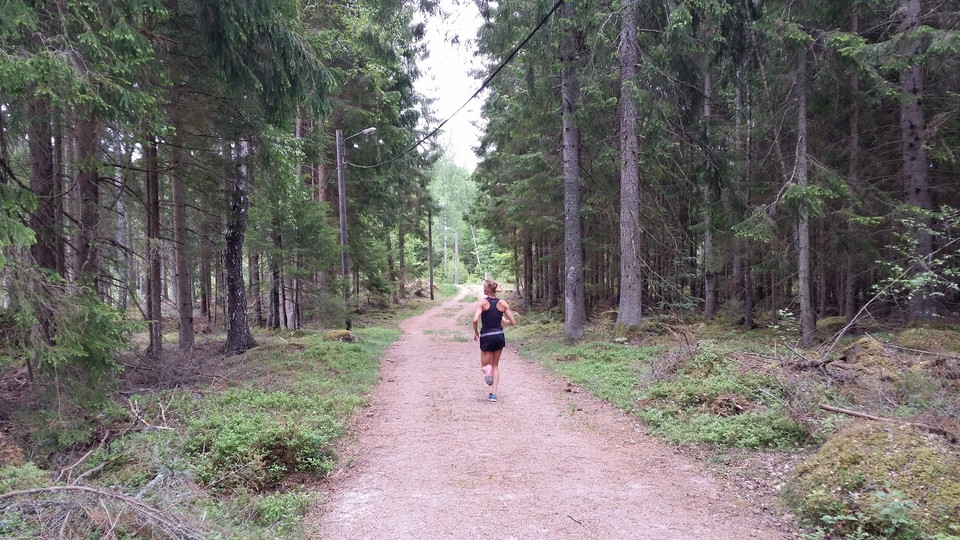 Skogskänsla utmed spåret