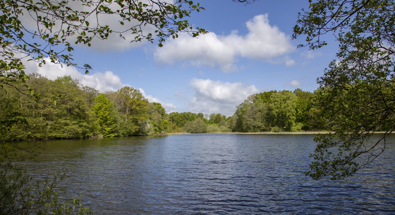 Borgasjön.