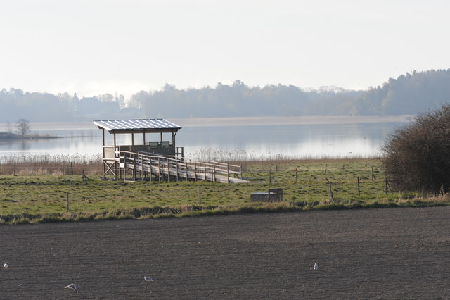 Fågeltorn vid Pilkrogsviken