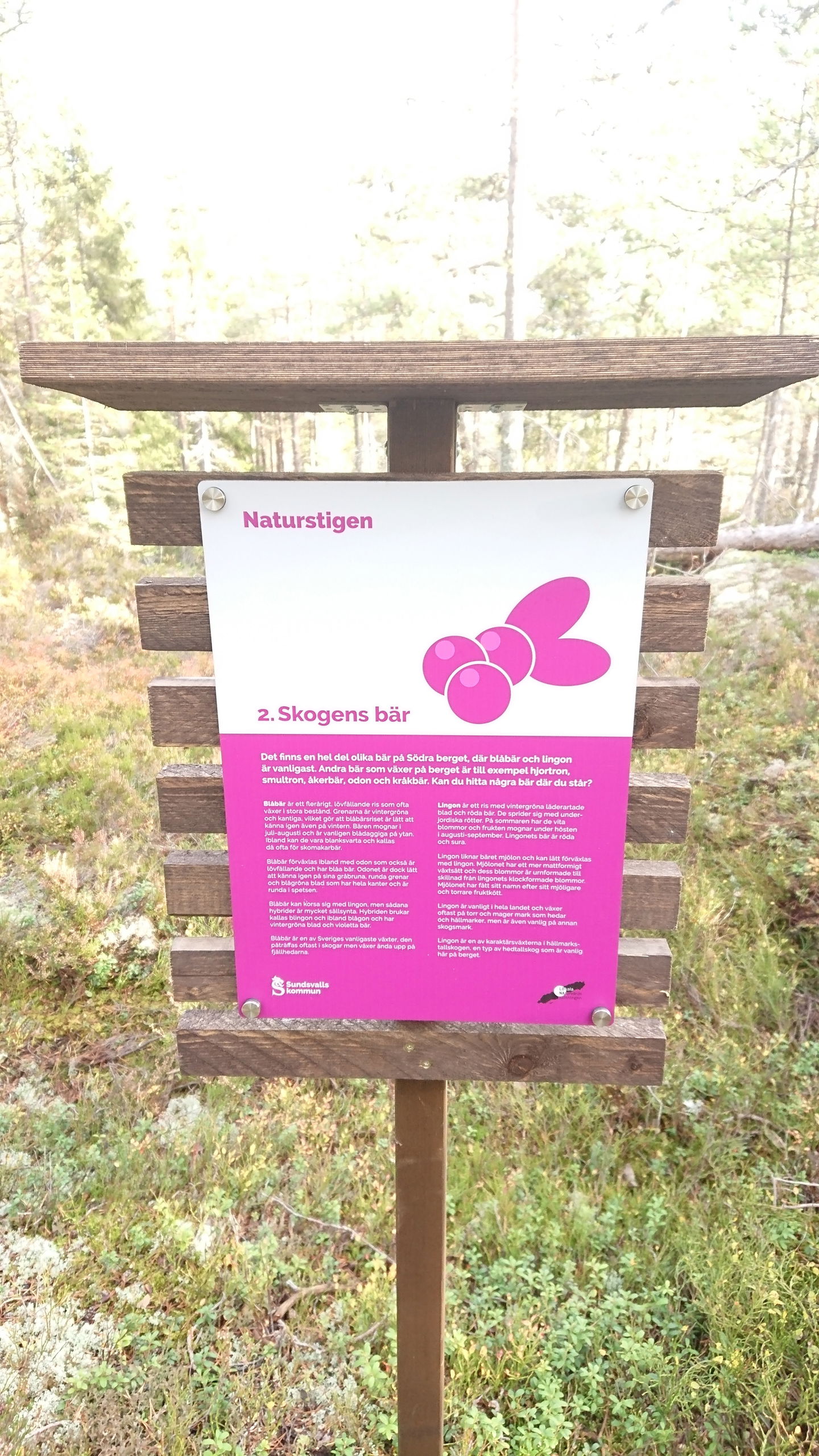 Informationstavla Skogens bär Naturstigen