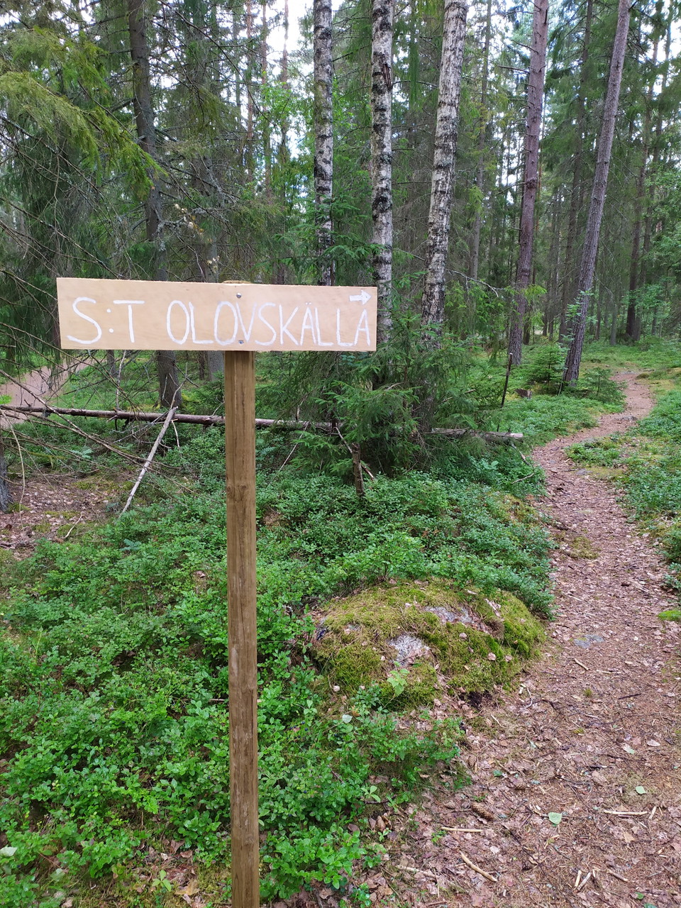 Stig från elljusspåret
