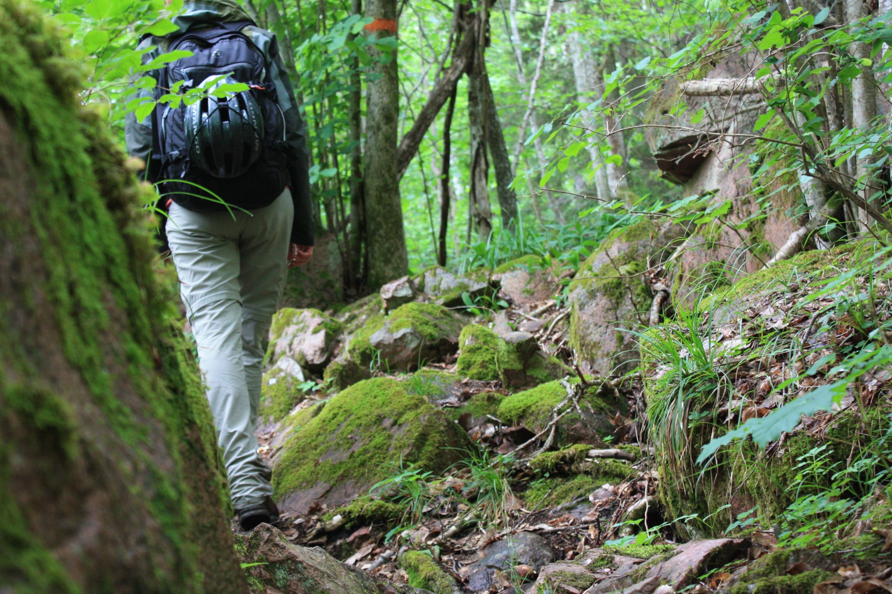 En person går uppför en kuperad, mycket ojämn och stenig vandringsled genom tät skog.