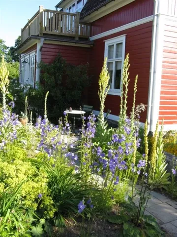 Solbackens Bed and Breakfast