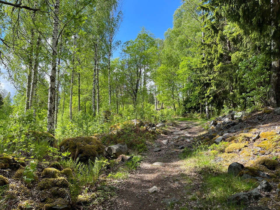 Längs med stigen - brant stigning