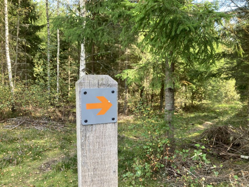 En orange pil som pekar mot höger sitter på en trästolpe