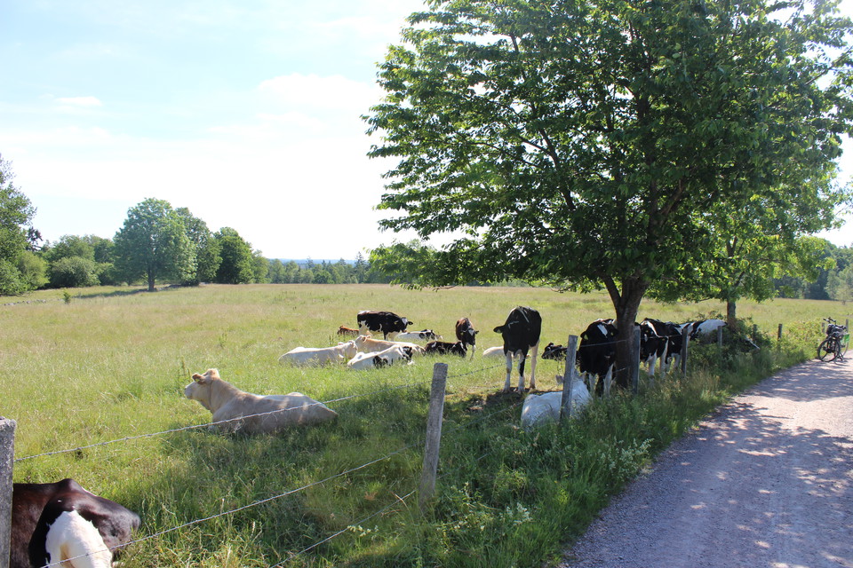 Naturreservatet Teleborg