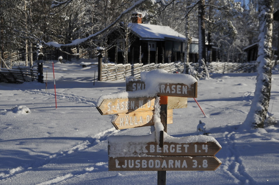 Stigar och leder åt flera håll
