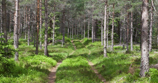 Södra Vätterleden etapp SV2 Bottnaryd - Norrahammar - En del av Smålandsleden