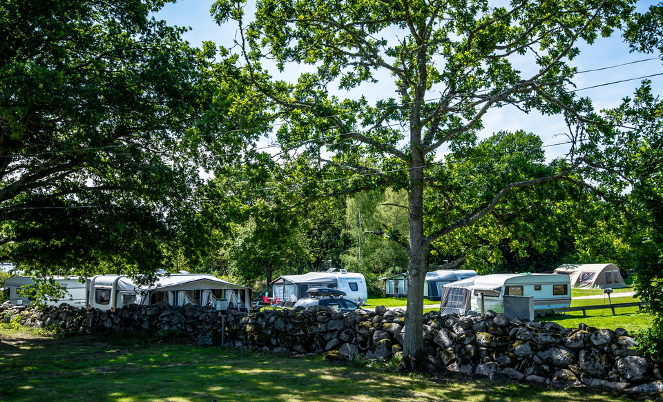 Camping