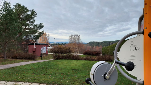 Utegym Färebyparken Färila