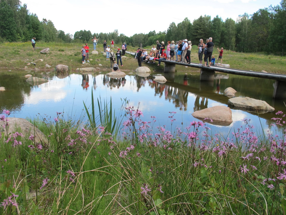Värdefull vattenspegel