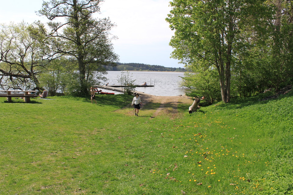En kvinna går på en öppen gräsyta vid en badstrand. Runtom finns flera träd och ett bänkbord.