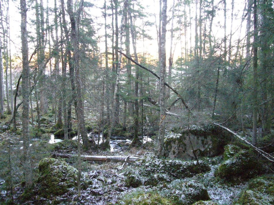 Brobys naturreservat