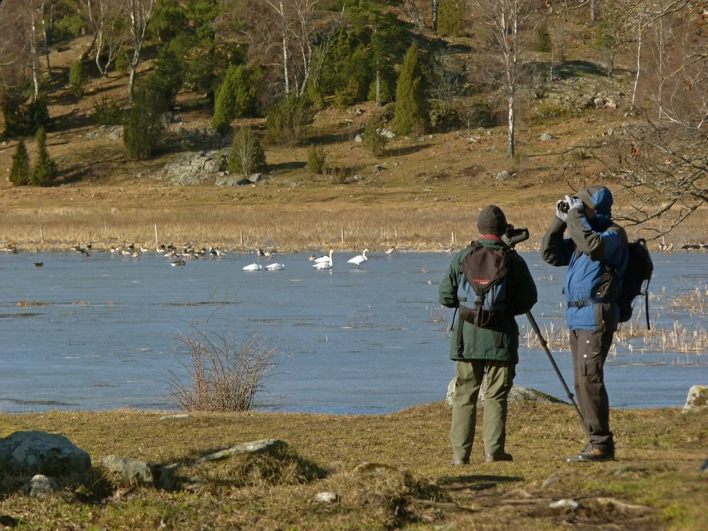 Fågelskådare vid Angarnssjöängen.