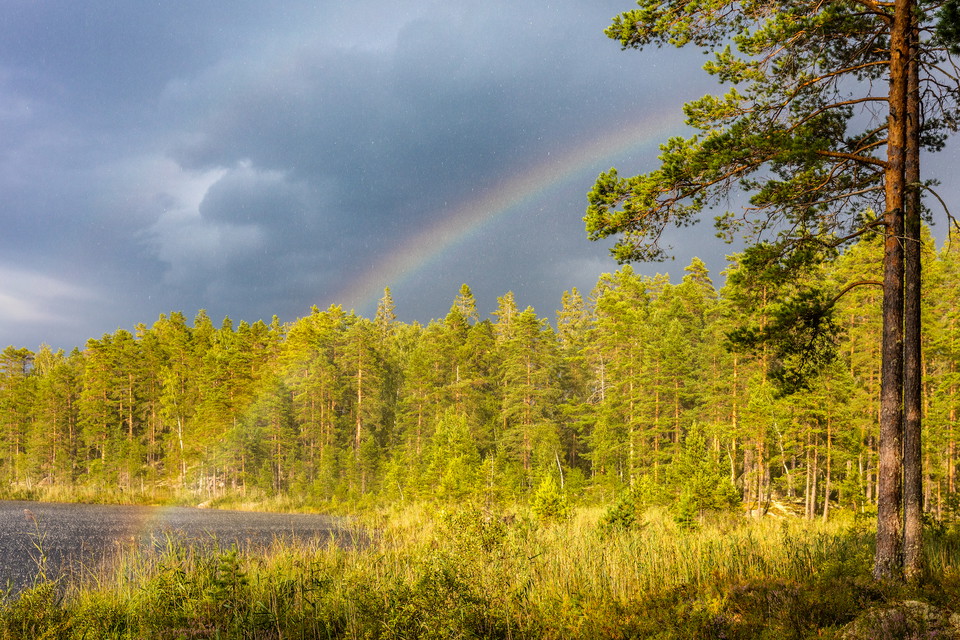 Foto: Marcus Westberg