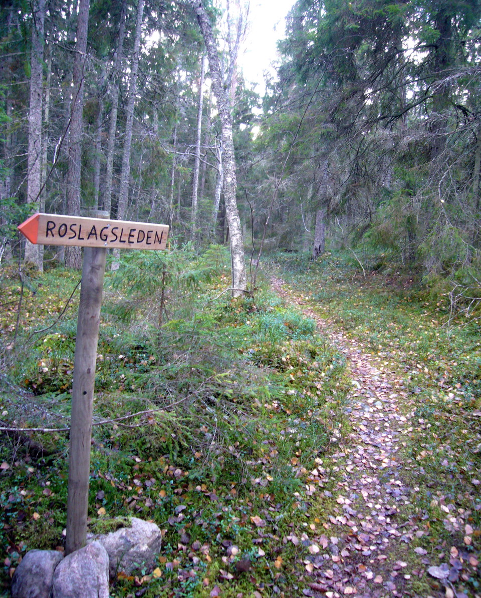 Roslagsleden passerar genom reservatet. 