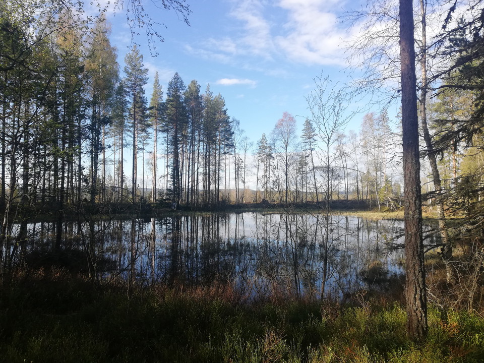 Kullanstjärn ligger som en spegel efter ca 4 km