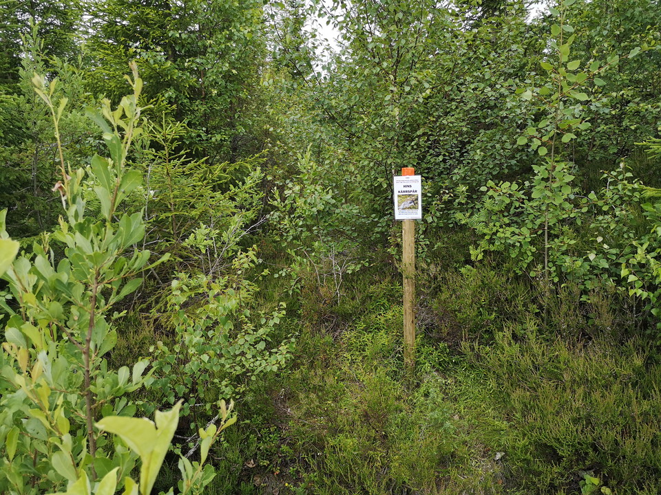 Skylt Hins kärrspår