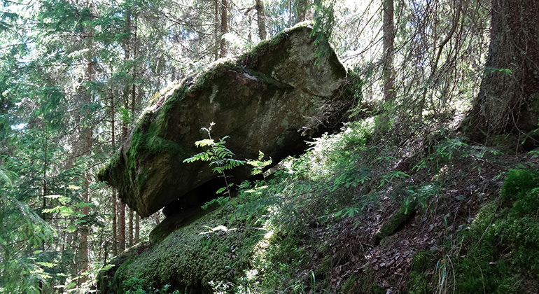 Mossbelupet block i skogsbranten. Foto Lars Furuholm.