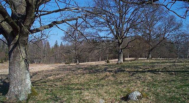 Håvesta ekhage, Naturreservat