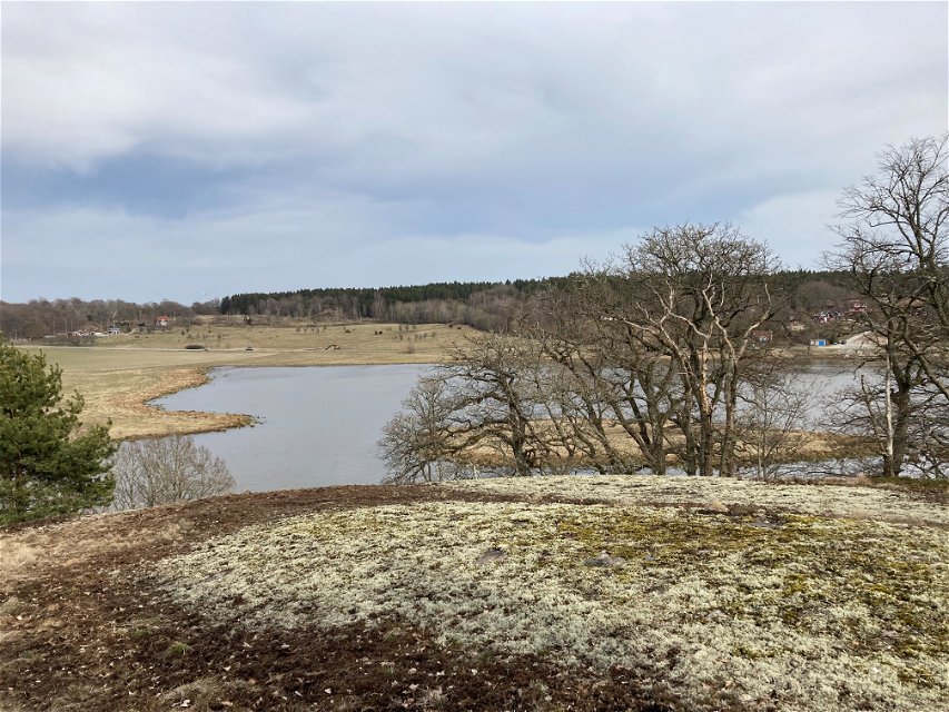 Utsikt över Järnaviksdalen. 