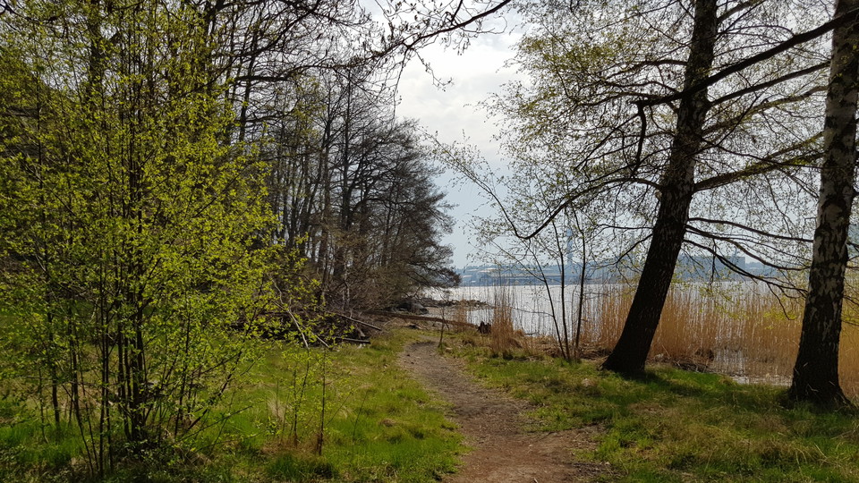 Gångstig nedanför Lidingsberg. Foto Lidingö stad