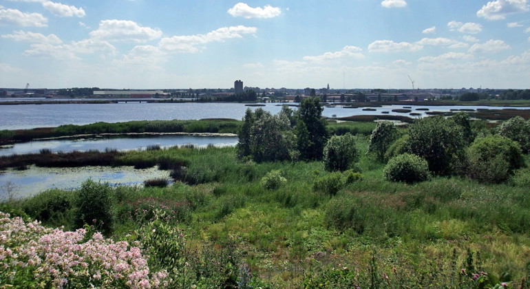 Testeboåns delta ligger stadsnära med Gävle stad i bakgrunden.