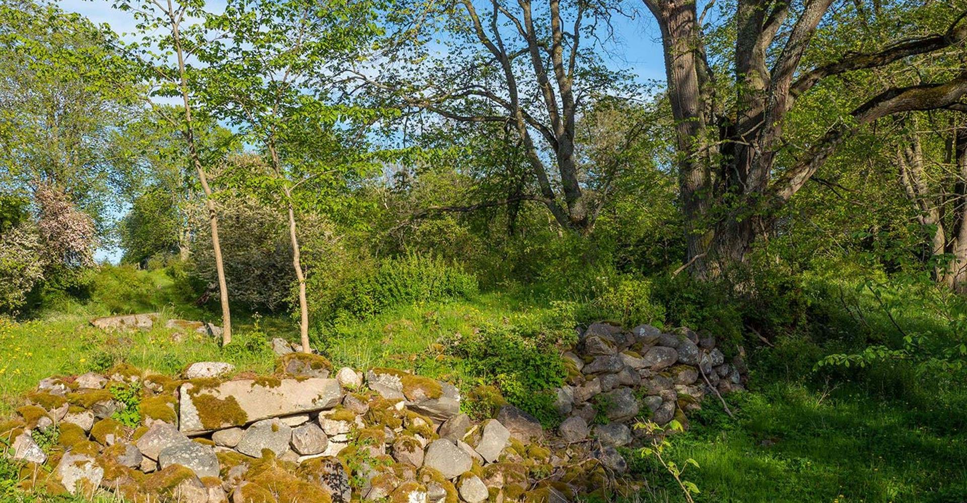 Etapp: Ödeshög-Omberg, Signaturleden. Ödeshög