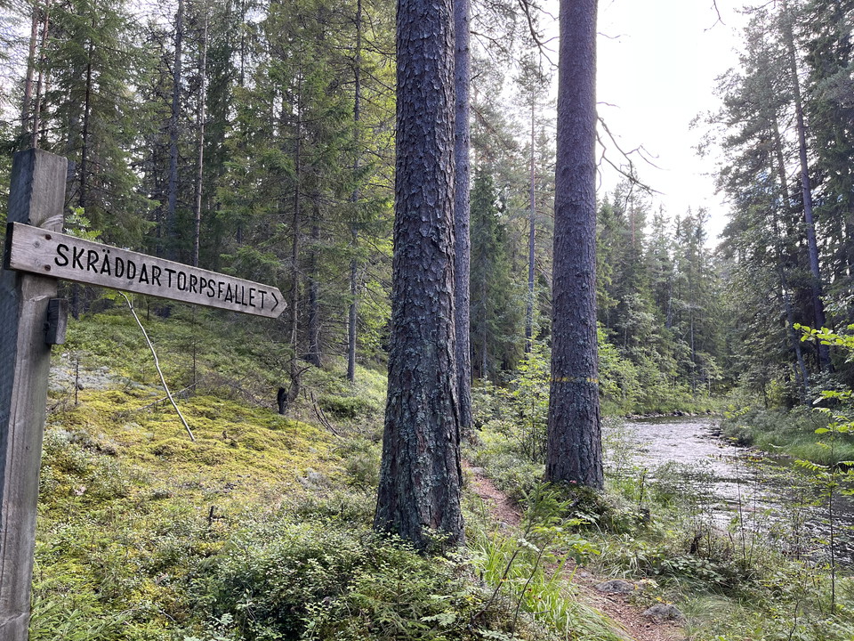 Skylt mot Skräddartorpsfallet