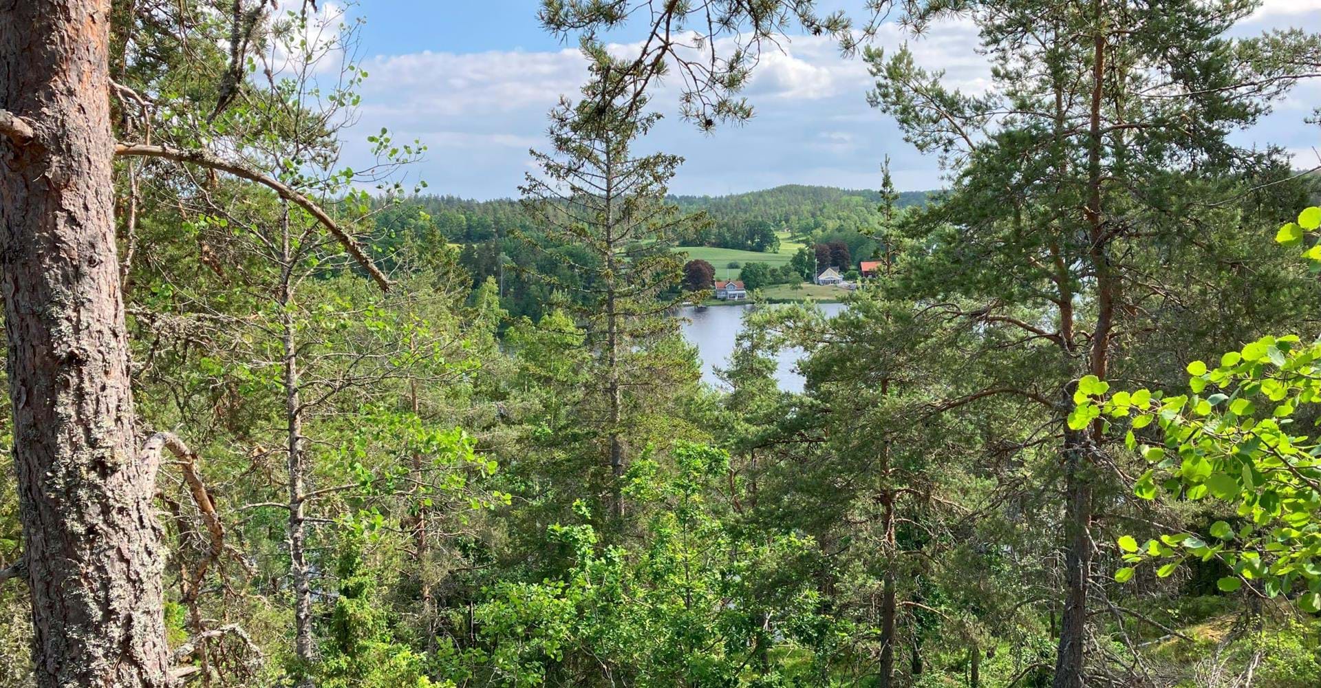 Utsiktsplats södra sidan av Fallingebergssjön