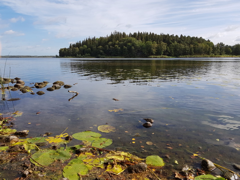 Utblick från Fysingens sydvästra strand.