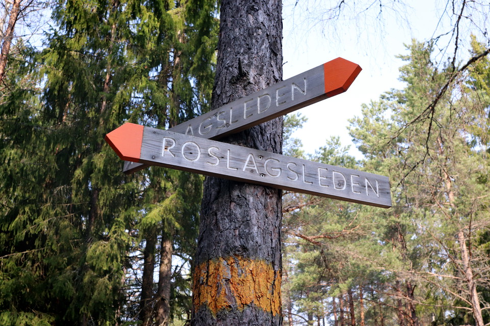 Roslagsleden trail is well signposted with orange markings and signposts at intersections.