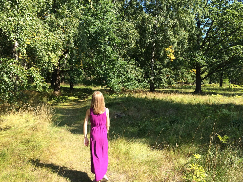 Ulriksdals naturreservat.