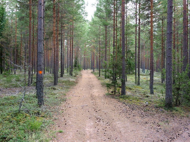 Storhällaleden