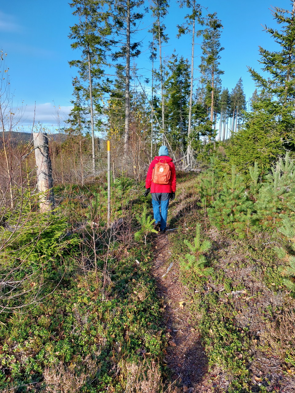 Vandrare på Siljanleden och Romboleden