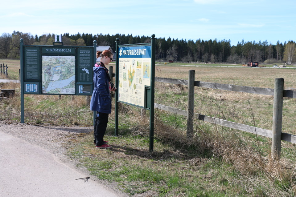 En person står och tittar på informationstavla. I bakgrunden syns en hage.