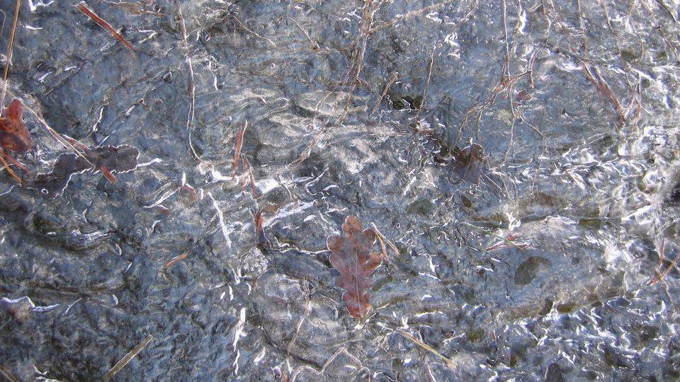 Isklädd klippa vid Lidingsberg. Foto Lidingö stad