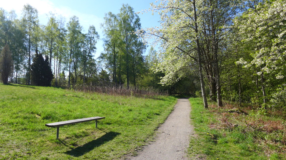 Vitmarkerade Sjörundan passerar förbi
