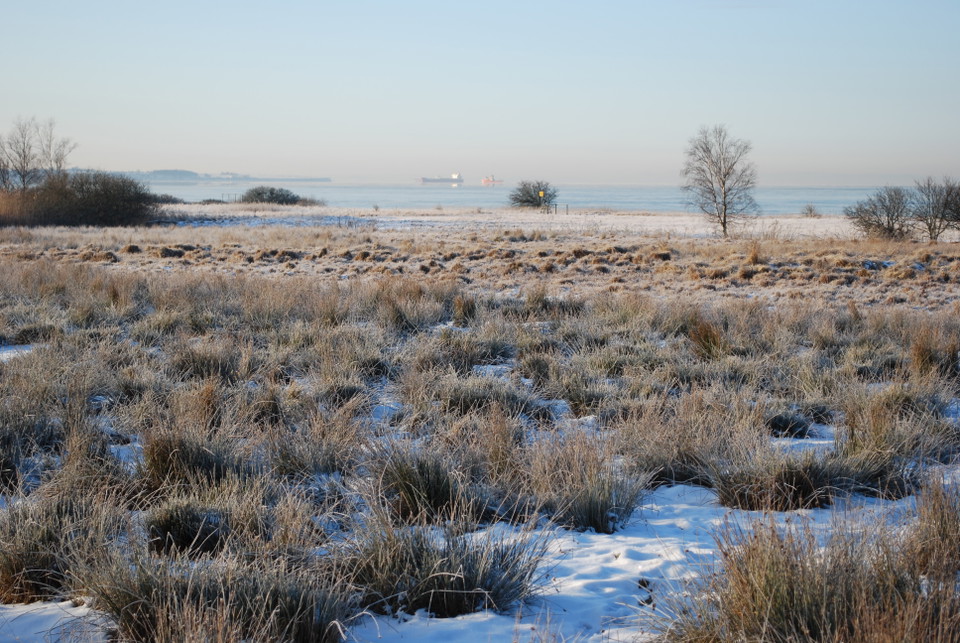 Vinter i Örby Ängar