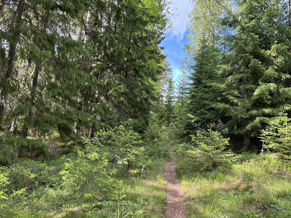 Längs med Malingsbo -Klotenleden