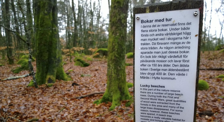 På flera platser i reservatet finns det små informationsskyltar uppsatta på stolpar. 