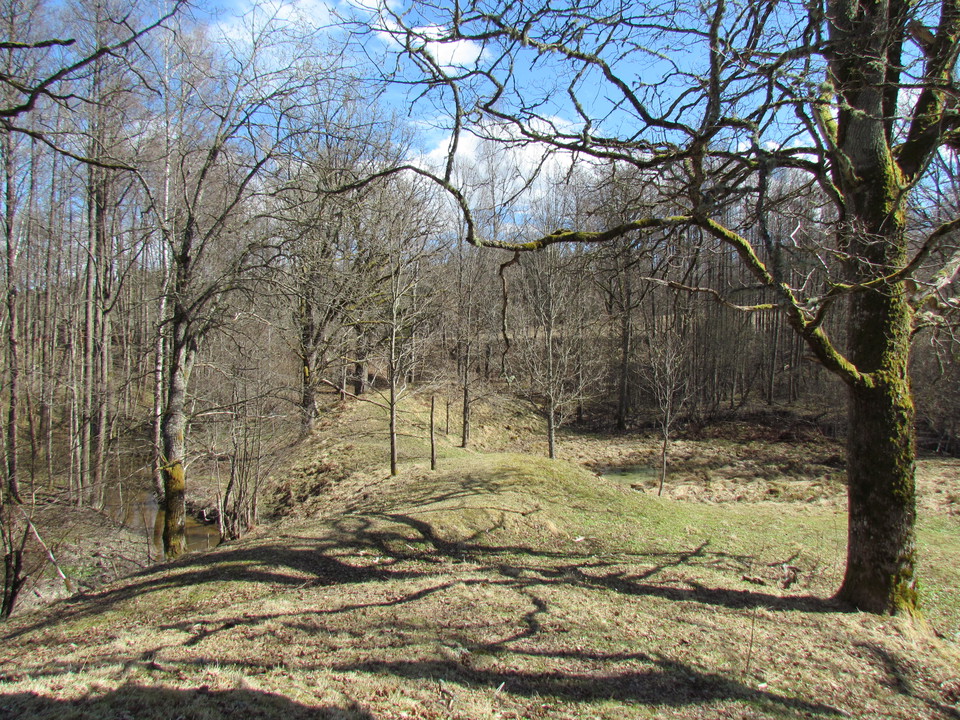 Här finns en av Sveriges nordligaste ekbestånd.