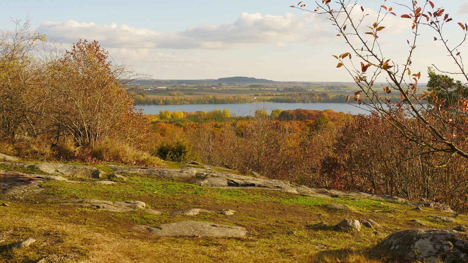 Utsikt över trädtoppar och Råbelövssjön